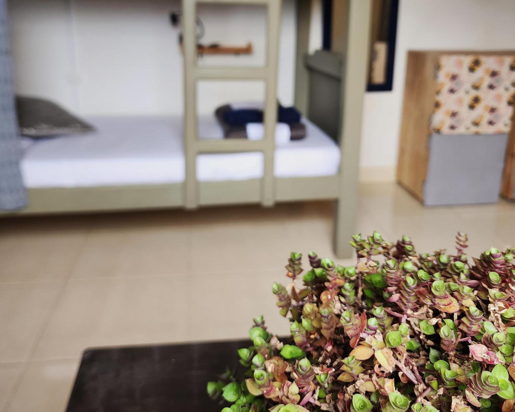 Casa Kayam Art Hostel Coliving Coworking Guatapé Стая снимка