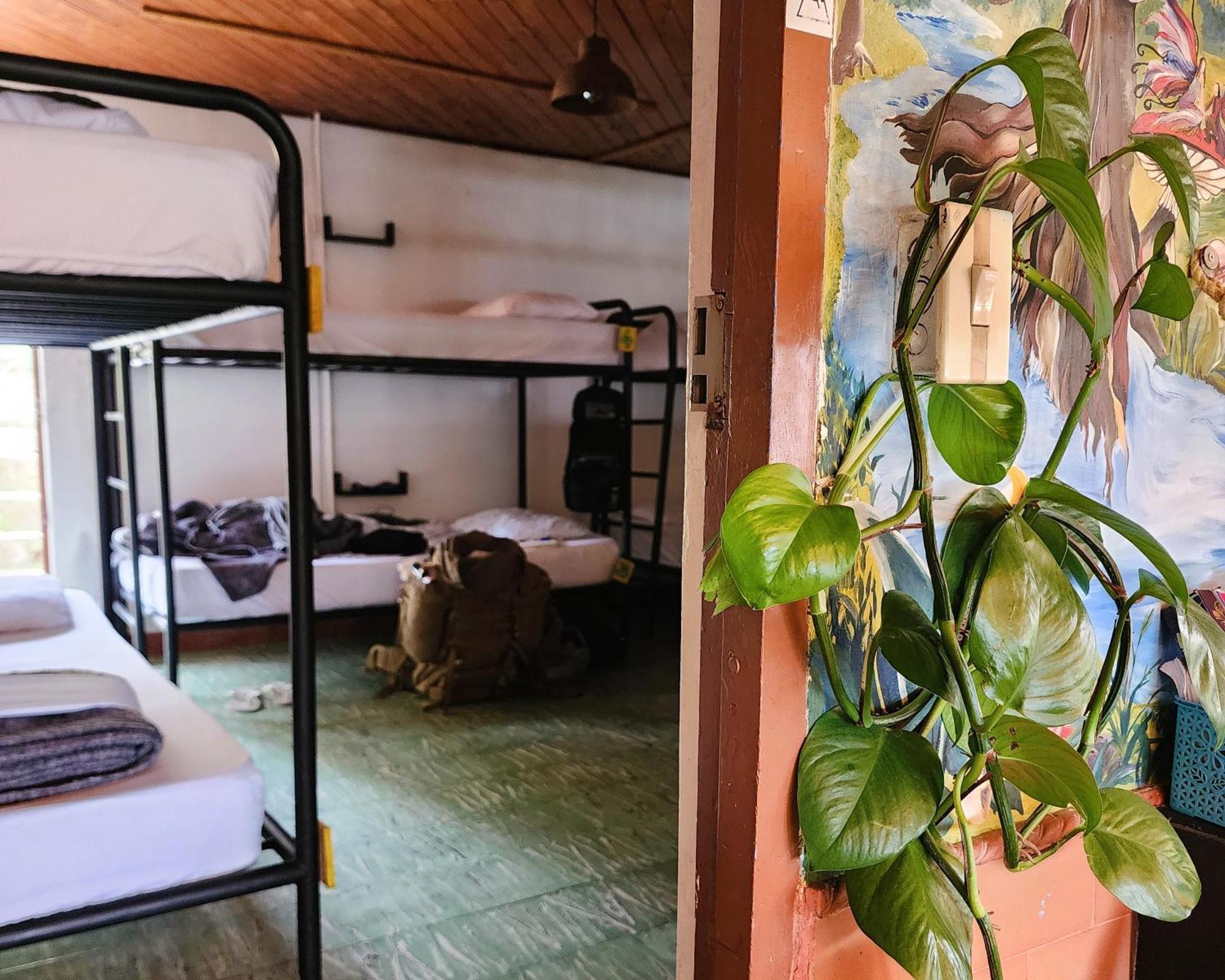 Casa Kayam Art Hostel Coliving Coworking Guatapé Екстериор снимка